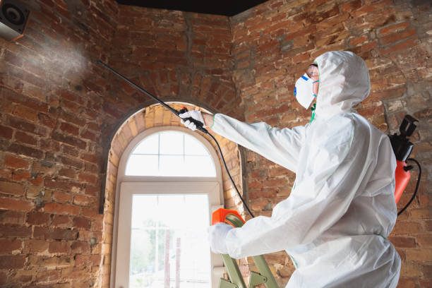 Trusted Indian Wells, CA Mold Removal Services Experts