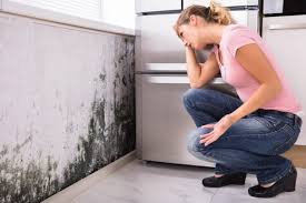 Mold Odor Removal Services in Indian Wells, CA